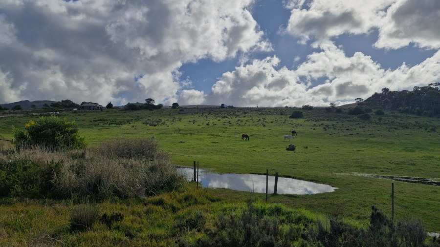 Commercial Property for Sale in Baardskeerdersbos Western Cape